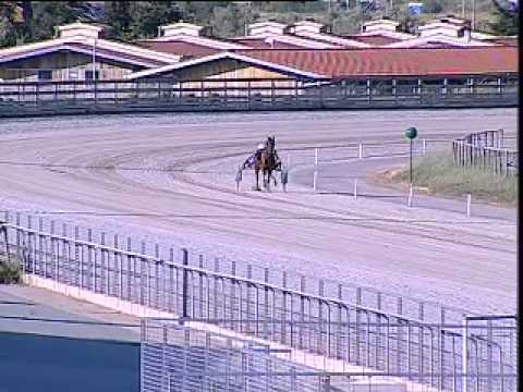 IPPODORMO DEI PINI - Prove di riqualifica del 26 maggio