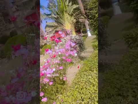 Parimal Kanoon// park)