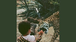 Music video thumbnail preview for The Beach by Unknown Mortal Orchestra