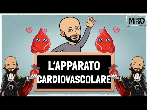 L'apparato cardiocircolatorio
