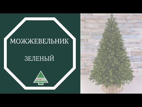 Триумф Можжевельник 185 см зеленый - Видео 1