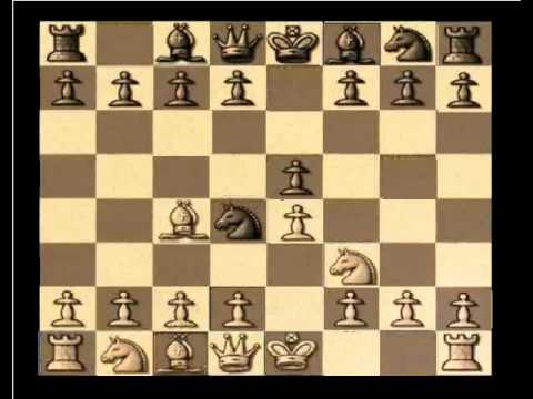 blacks mistake pays well (Kostic Gambit)