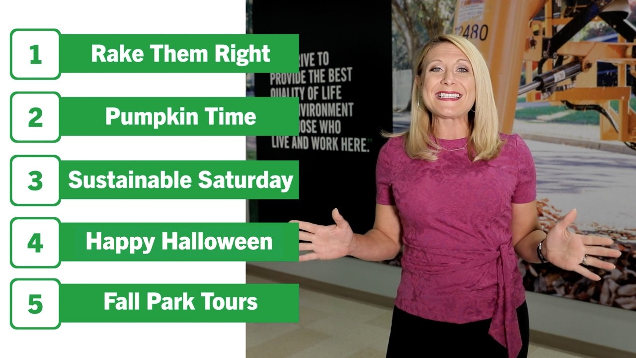 Dublin Download: October 2026