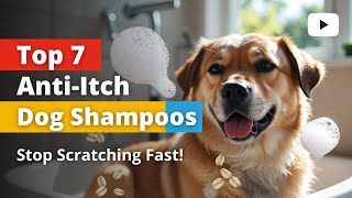 Top 7 Best Oatmeal Dog Shampoo Anti Itch Review (Exclusive) 