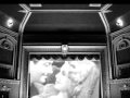 Dollar Matinee