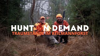 Traumstände im Reilmannforst 🐗 von @wildhuntblackforest4494