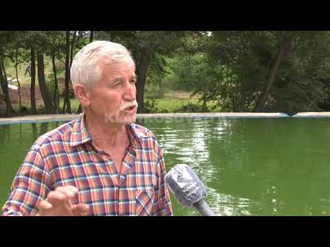 Si u mbyt 13 vjeçarja në pishinë të Lipjanit? - 27.06.2020 - Klan Kosova