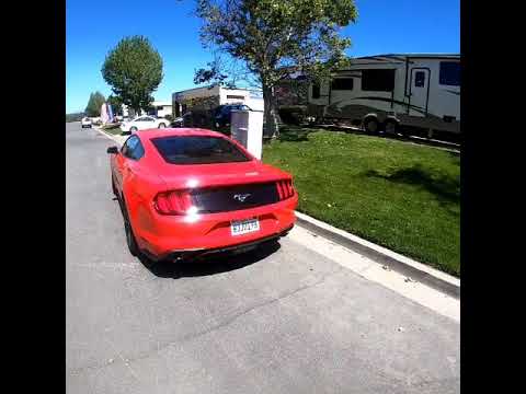 Mustang EcoBoost Camshaft Upgrade