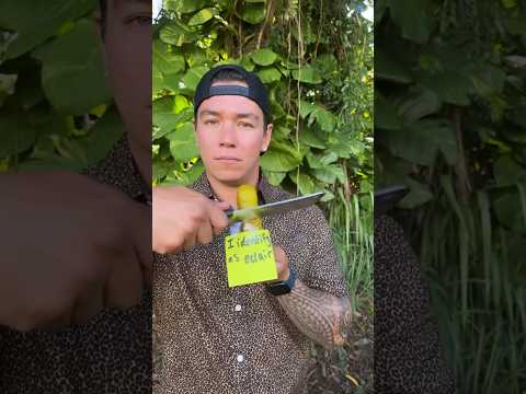 I’m fresh out of magic water🪄💧