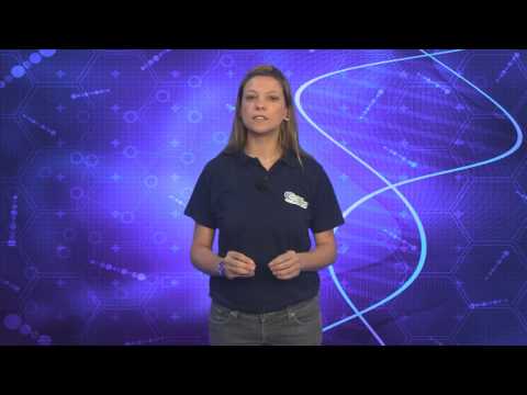 Ministério da Saúde abre concurso com 102 vagas