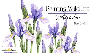 AMAZING 😱 Step by Step Watercolor Painting! Beautiful Wild Iris! Iris Flower!
