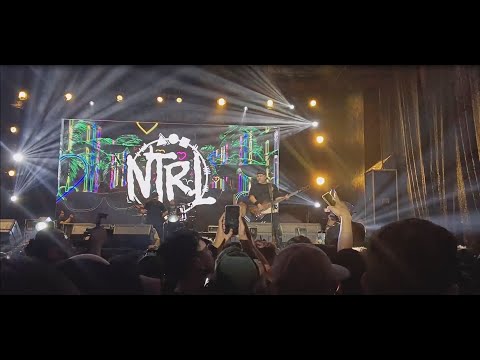 NTRL - Cinta Gila  (Live Show Music/Lagu)