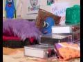 Turn it Up - Robots in Disguise .avi