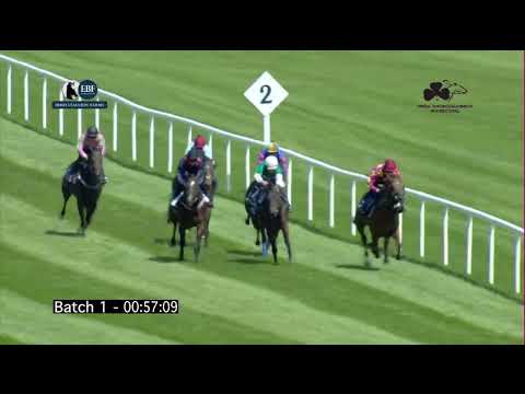 Irish EBF Barrier Trials 29 May 2023 - Batch 01