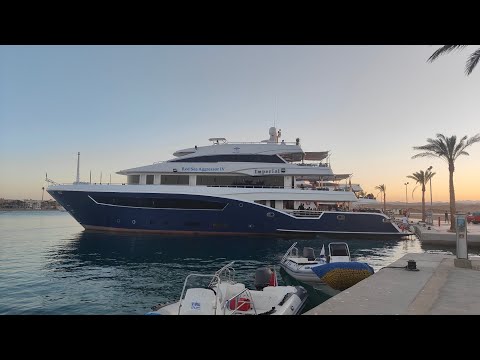 Red Sea Aggressor IV - March 2023