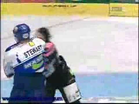 hansen vs stewart