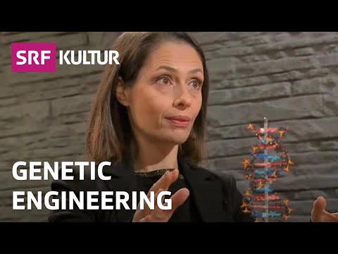 Genetic Manipulation: How Far Can We Go? | TV-Talk | Sternstunde Philosophie | SRF Kultur
