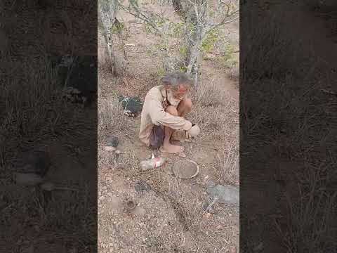 Coronel João Sá Bahia