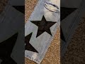 ️ Diy Star Pants ️ Art Painting Paintwithme Diy