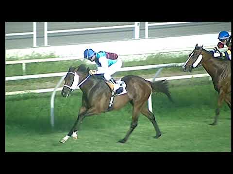 Napoli Galoppo 25/08/2021 - 3ª corsa