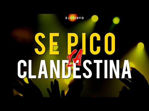 •🔥 SE PICO LA CLANDESTINA 2 🔥• | ALTA JODA | FIESTA 2021 | LO MEJOR | - DJ Cu3rvo