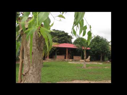 MOSAICO CARIBE ARDIENTE, BANDA 19 DE MARZO DE LAGUNETA