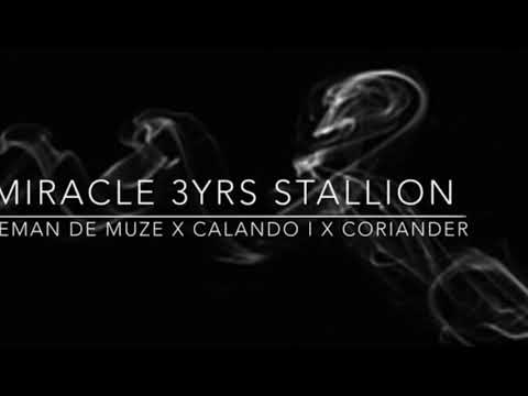 Iceman De Muze x calando I