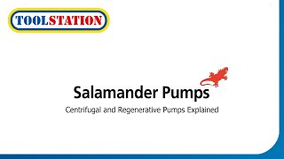 Salamander