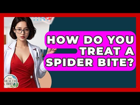 How Do You Treat A Spider Bite? - The Health Brief