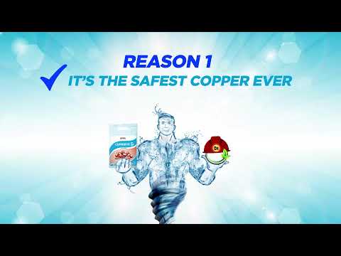 Powder 250g UPL Saaf Fungicide