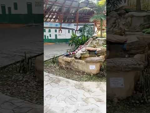 hermoso lugar San Agustín Huila