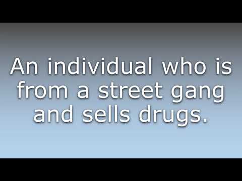 What does Dopester mean?