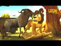 Practical Joker Leon The Lion 120 Compilation Crazy Animals