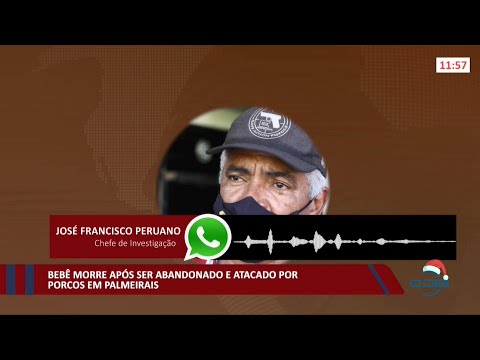 Bebê morre após ser abandonado e atacado por porcos em Palmeirais 21 12 2021