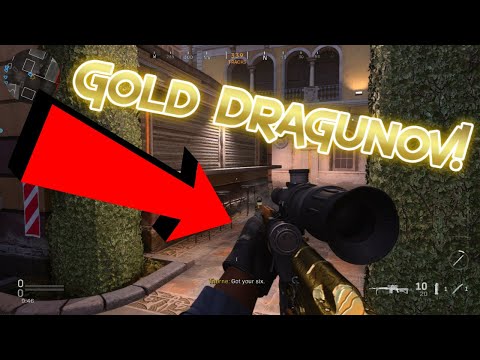 I Got *Gold Camo* On the Dragunov! (MW)