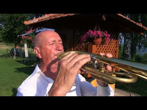 Orkestar Slobodana Nikitovica Kosjeric Bisenija kceri najmilija