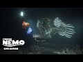 Honor Of Nemo FindingNemo Procurandonemo Findingdory Viral Funny Disney Disneyplus 3dsmax