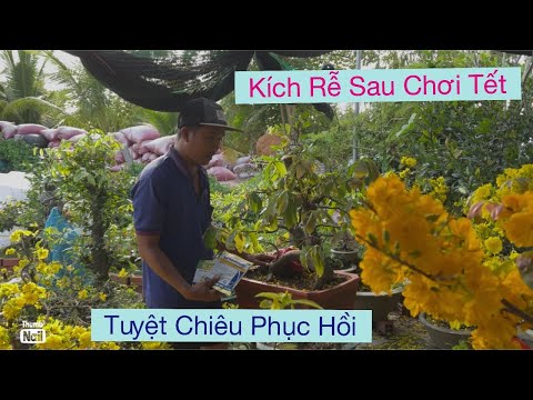 0939 191715 Vtnn vũ…phục hồi mai sau chơi Tết 