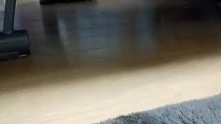 僕の民族スピナーは偽物