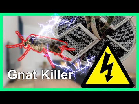 Fungus Gnat Zapper