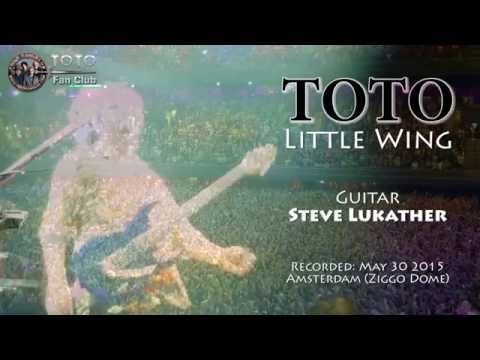Best guitarist in the world Steve Lukather (TOTO) covers Jimi Hendrix Little Wing