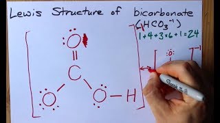 How to Draw the Lewis Structure of Bicarbonate (HCO3-)