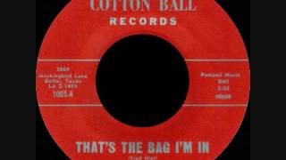 The Fabs - That&#39;s the bag I&#39;m in