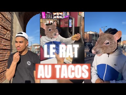 LE RAT ET LE TACOS