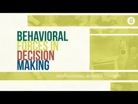 What is Organizational Behavior