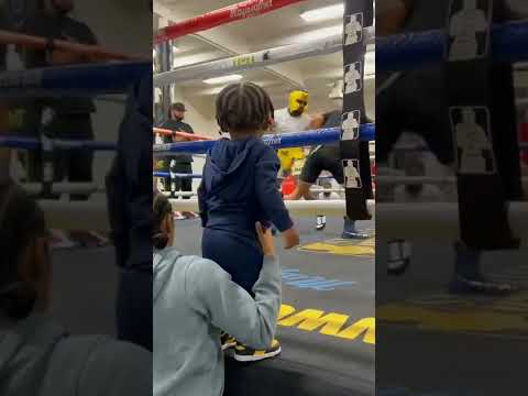 最高年収360億円フロイドメイウェザーJrのスパーリング動画