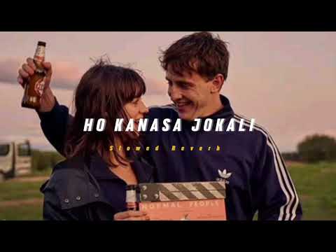 Ho Kanasa Jokali ( Slowed + Reverb ) | Soul Vibez