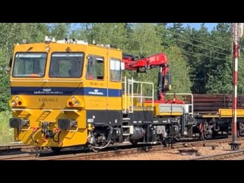 PKP PLK DH-350.11-10 z drewnianymi podkładami +RP1