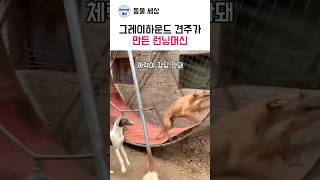 그레이하운드 견주가 만든 런닝머신