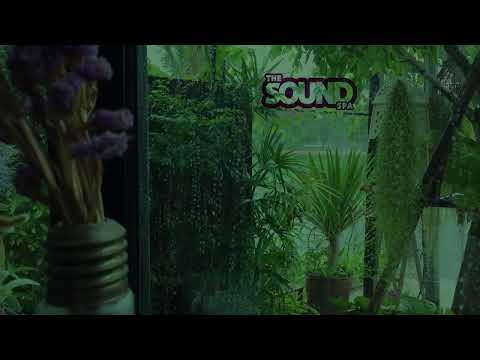 Fall Asleep Faster with Sweet Rain Sound in Park at Night